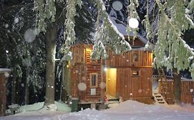 Pinetrees Lodge