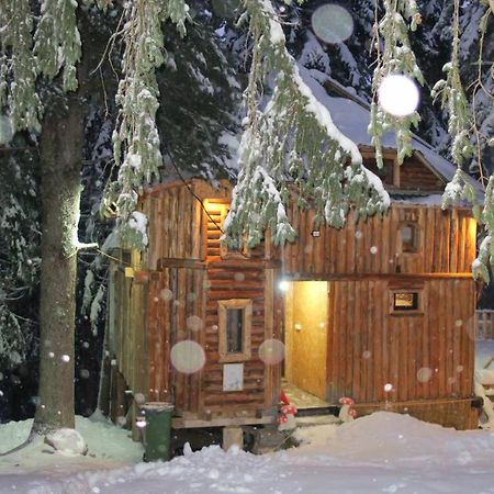 Pinetrees Lodge Plav Exterior photo