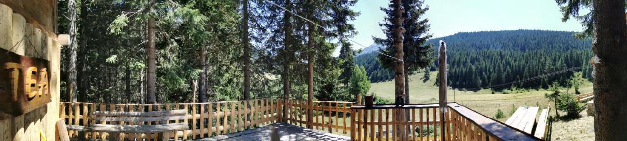 Pinetrees Lodge Plav Exterior photo