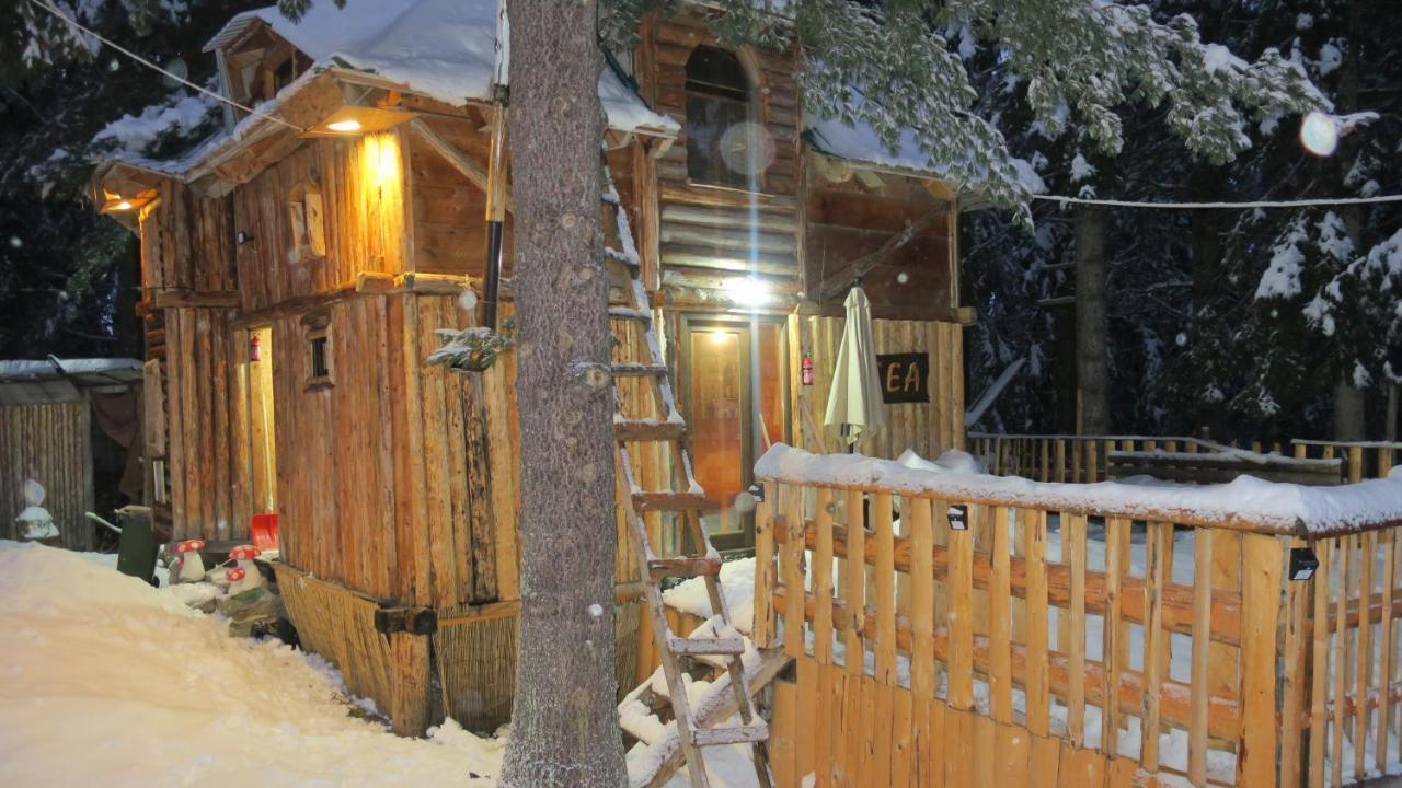 Pinetrees Lodge Plav Exterior photo