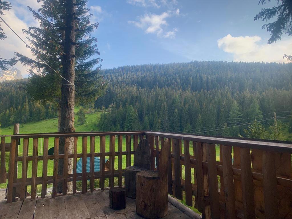 Pinetrees Lodge Plav Exterior photo