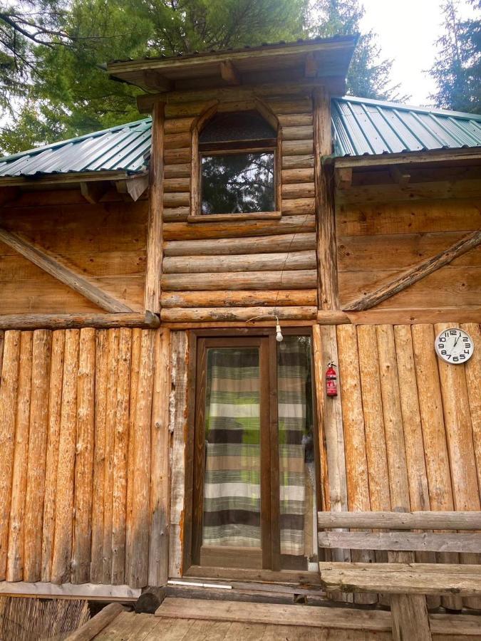 Pinetrees Lodge Plav Exterior photo